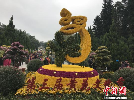 ݻƻڻƻĻڿĻ;Ӣ